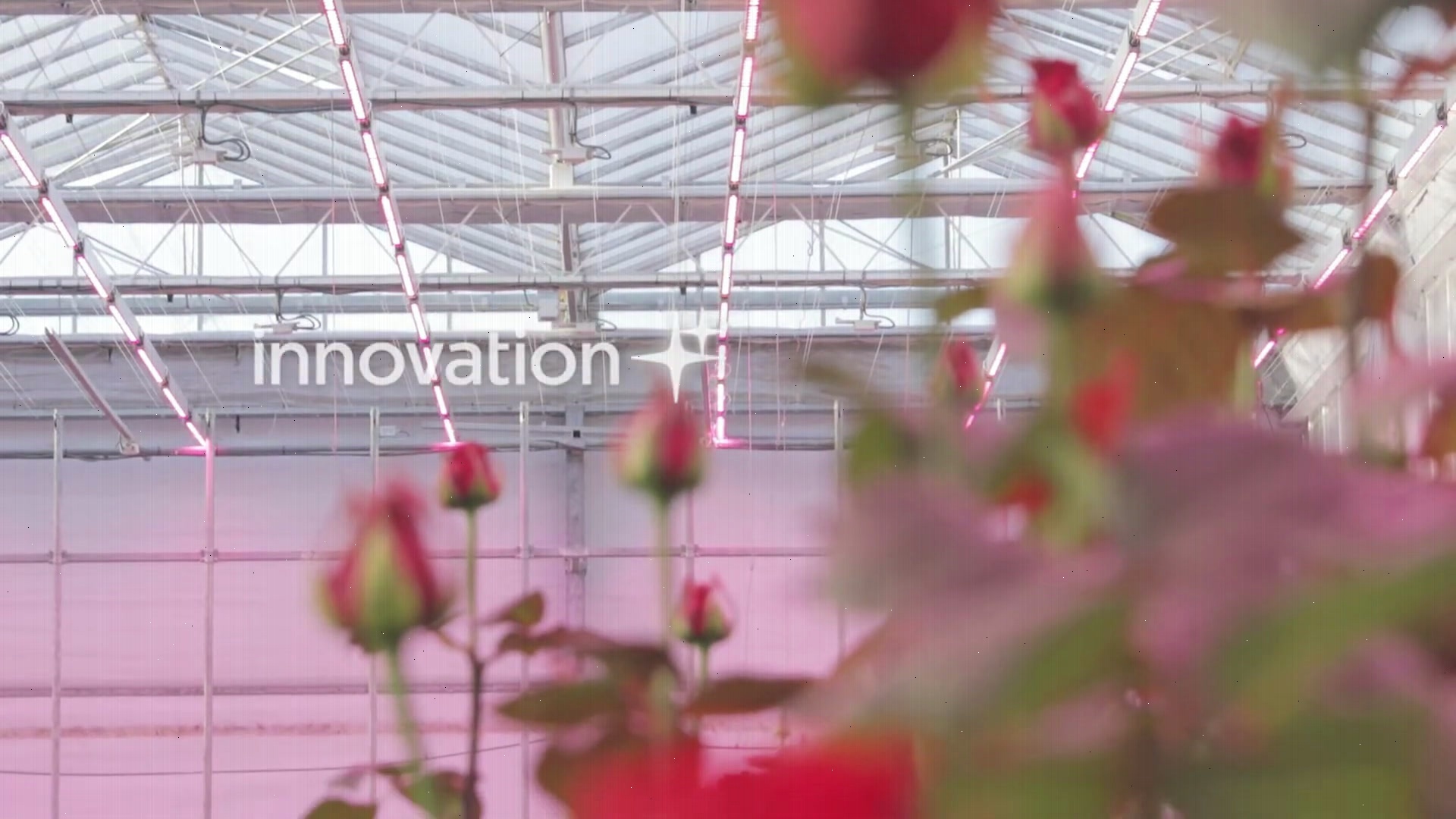 Early Mission Result