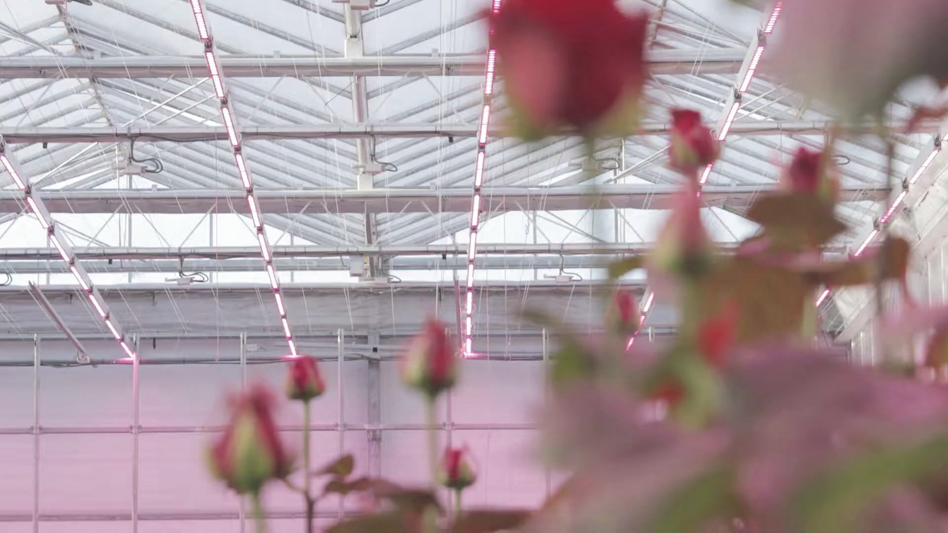 Subtle Desaturation Result